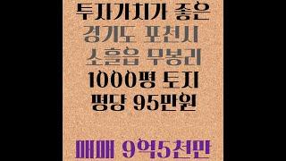 급매) 투자 가치가 좋은 경기도 포천시 무봉리 1000평 /평당 95만원 9억5천