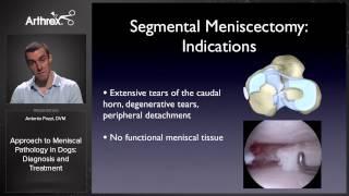 Approach to Meniscal Pathology in Dogs: Diagnosis and Treatment