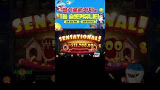 슬기로운카지노 카메오 상어 짭당왕 12회차 1등 개집3 잭팟이죠! #슬롯머신 #슬롯 #프라그마틱 #잭팟 #slot #pragmatic