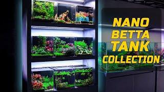 12 Betta Fish Nano Tank Setup Ideas for Beginners, Low Tech Aquascape, Aquarium Tank Makeover