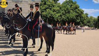 Kings Troops Horse Needed The Toilet After Arriving For Changing The Guard