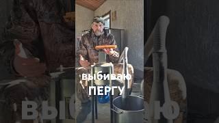 Выбиваю пергу.