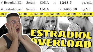 OBSCENE Estradiol Levels | Best E2 For Offseason, Maintenance & Cutting Phases | Vigorous Health