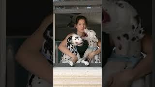 Viennas 3! #amandacerny #birthday #dalmation