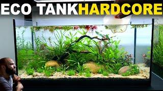 The Ecosystem Tank: HARDCORE MODE (Walstad Method, No Filter, Low Tech, Dirt, Aquascape Tutorial)