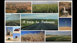 A road trip to Palouse, Eastern Washington | 2020 June 06 | OurTravelHikes