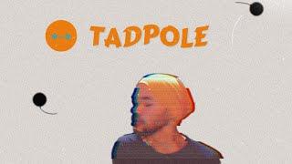 TADPOLE *-* #MUSIC #LOFI #NOISE #BEATS #ABSTRACT @BandcampOddities