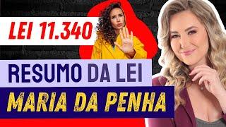 LEI MARIA DA PENHA - Lei nº 11.340 (Resumo)