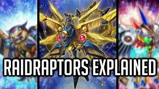 Raidraptors Explained In 34 Minutes [Yu-Gi-Oh! Archetype Analysis]