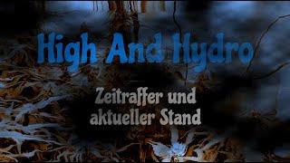 Folge 15 - Zeitraffer und Zwischenstand