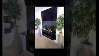 #озеленение на заказ #декор #интерьер #бонсай #видео #тренд #flowers #designer #bonsai #видео #лето