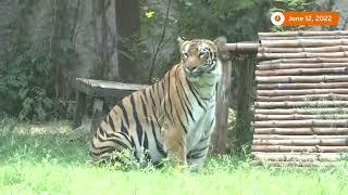 Zoo animals cool down with water sprinklers in India