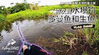 【FishingShare】EMPANGAN KLAU水坝钓鱼之旅|水坝钓多曼魚和生鱼|路亚饵钓多曼魚| EMPANGAN TOMAN & HARUAN FISHING