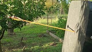 Harpoon Recurve bow