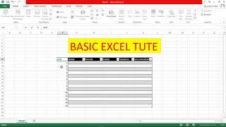 BASIC EXCEL TUTORIAL FOR DATA ENTRY ||BEGINNER LEVEL|| TUTE 1|