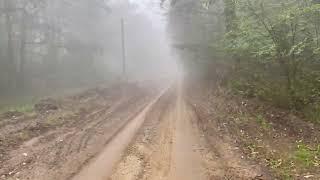 October Bike Trip. Capriana Forest. Moldova. 2024-10-05