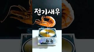 오로지 전기로 요리하는 이상한 음식