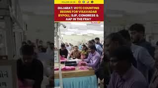Gujarat: Vote Counting Begins for Visavadar Bypoll; BJP, Congress & AAP in the Fray