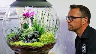 biOrb AIR 60 - Full Step by Step Tutorial Terrarium Scape