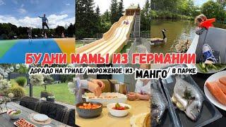 VLOG: ПЕРВЫЙ РАЗ ТАК ГОТОВЛЮ  КТО ЛЮБИТ МАНГО, попробуйте ПОЕХАЛИ В ЗООПАРК 