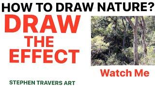 You Can Draw Nature Like This!  WATCH HOW