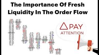 Fresh Liquidity In The Order Flow Holding And Failing Using Orderflows Trader 7 For NinjaTrader 8