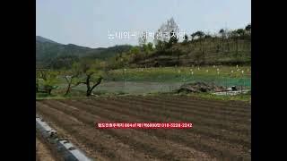 청도전원주택지 804㎡ 매1억6000만​동네뒤편 계획관리지역  부동산급매물구합니다