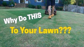 Scalping My Lawn - Why Would I Do This??