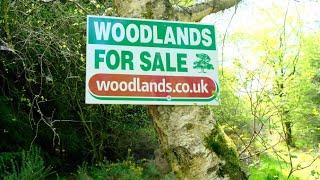 SEARCHING FOR WOODLAND TO BUY