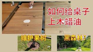 Vlog保养实木家具，上木蜡油，给果树挖圆形土坑，黑森林漫步