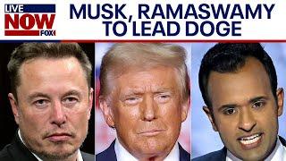 Trump appoints Musk, Ramaswamy to lead Department of Government Efficiency (DOGE) | LiveNOW from FOX