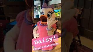 Finding Daisy! #daisyduck #wildernesslodge #brv #waltdisneyworld #disneylofi #youllbeinmyheart