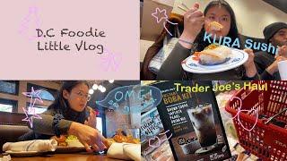 [ little vlog ]  美國藏壽司 / 米其林早午餐 / Trader Joe's 推薦 / 華盛頓食記 / 留學生寒假 / 每天都是聖誕節！Food Vlog in D.C