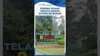 Pesona Talaga Saat Wisata Murah di Kawasan Puncak, Tarik Pengunjung hingga Luar Kota Bogor