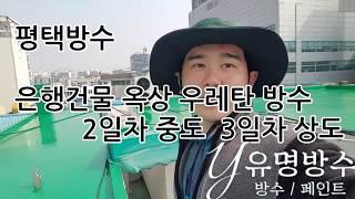 [유명방수]평택 은행건물 옥상 우레탄방수 2,3일차