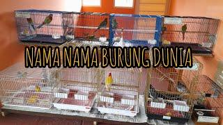 Review nama burung  luar negri||eco grean park batu-malang