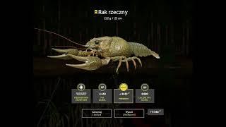 Russian Fishing 4 Freshwater Crayfish TROPHY Rak Rzeczny - Winding Rivulet