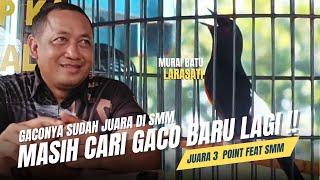 [ Murai Batu LARASATI ] Juaraa 3 Point feat SMM‼️ Mr G Masih Cari Gaco Lagi