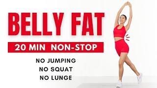 Do This Everyday to LOSE BELLY FAT  20 MIN Standing Workout (Beginner Friendly)