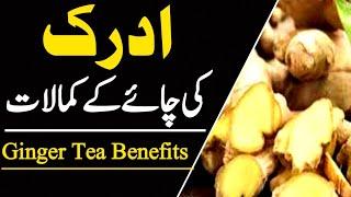 benefits of ginger - ginger benefits - ginger - saima gill voice