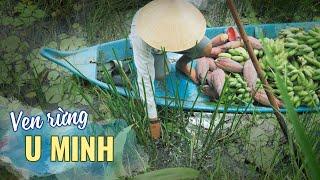 Cuộc sống ven rừng U Minh | Vietnam's Suburbs Life - Amazing Food