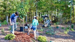 Fixing Helene's Damage & Adding New Shrubs to the Coop Garden