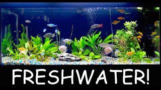 We Now Carry FRESHWATER too!