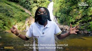 Choreographer Sherrie Silver explores Nyungwe National Park