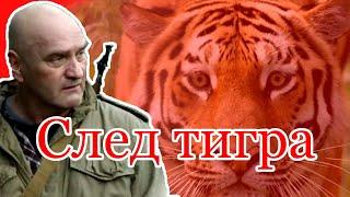 Фильм “След тигра” (2014) — боевик с тигром Амуром, Балуевым и китайцами