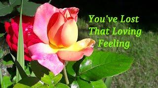 Acker BILK: You've Lost That Loving Feeling