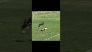 Is this stunt or goal #mrfahad