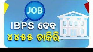 IBPS Po vacancy 2024 ll Odisha government job ll #odishajobs #job #odisha