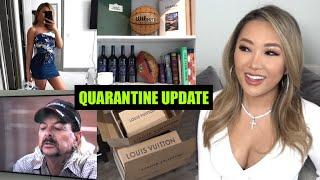 Hi from Quarantine. What I've been up to | hollyannaeree