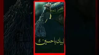 Aao Chalein Karbala | #islamic #noha #status #statuszonenohay   Noha video